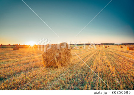 Rural Landscape Field Meadow With Hay Bales After Rural Landscape Field Meadow With Hay Bales After 30850699