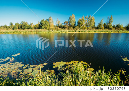 Landscape With Lake Pond River At Summer Sunny 30850743