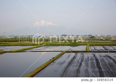 青森県大鰐町 水田に反射する岩木山 30856314