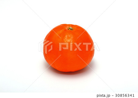 セミノール ミカン属 30856341