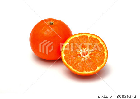 セミノール ミカン属 30856342