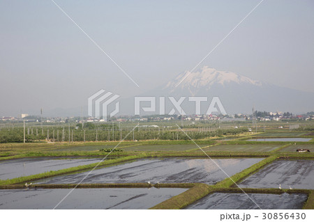 青森県大鰐町 水田に反射する岩木山 30856430