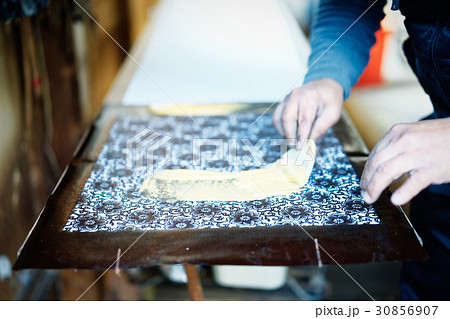 藍染　和柄　手捺染 30856907