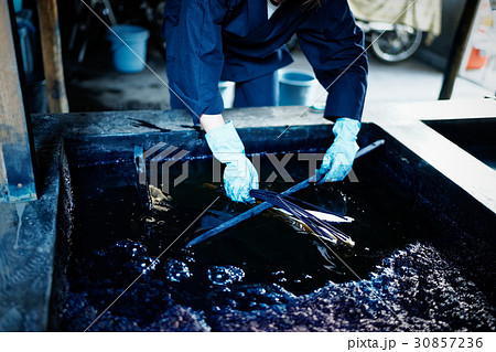 藍染 手捺染 染色 女性 藍染 手捺染 染色 女性 30857236