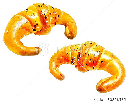 透明水彩 水彩画 ウォーターカラー 30858526