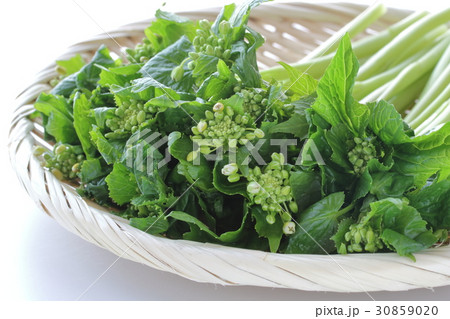 花わさび 30859020