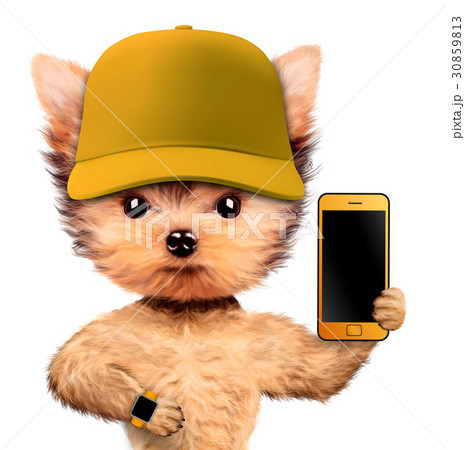 Funny Dog Wearing Cap And Holding Mobile Phoneのイラスト素材