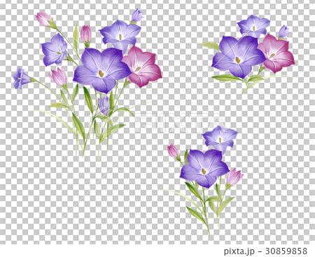 Powered by Translate 30859858