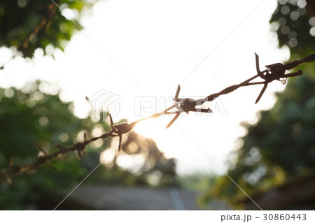 barbed wire fence with sharp spikes 30860443