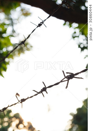 barbed wire fence with sharp spikes 30860444