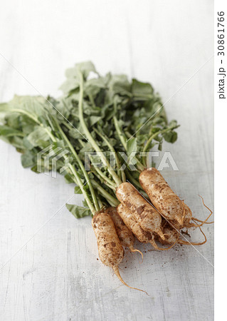 生 なまもの 有機 30861766