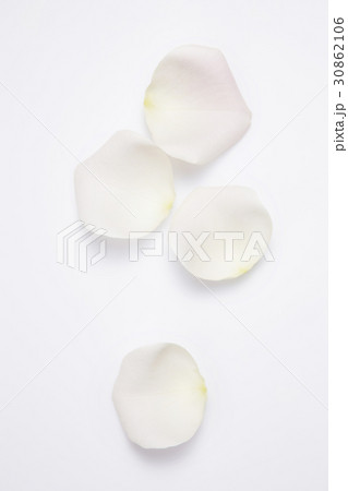 花びら ヌキ 切り抜き 30862106