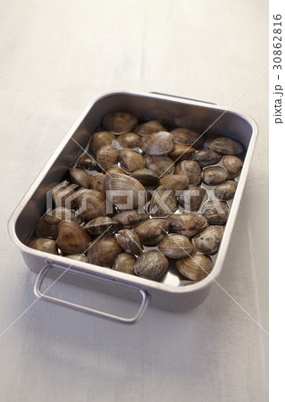 ヌキ 切り抜き 多数 30862816