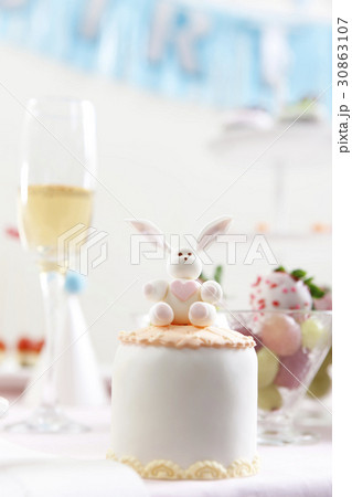 動物の形 フォーカス ケーキ 30863107