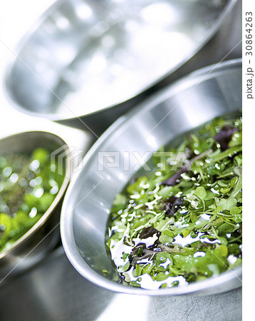 水 ボール 洗浄 30864263