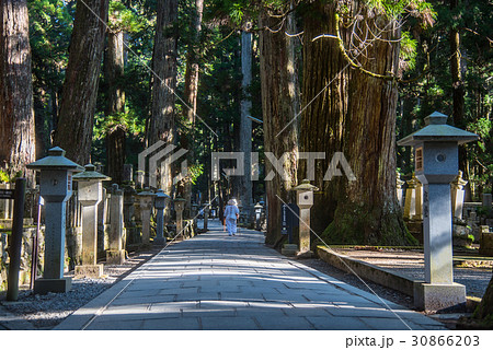 和歌山　高野山　奥の院への道 30866203