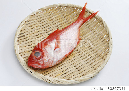 キンメダイ キンメダイ 30867331