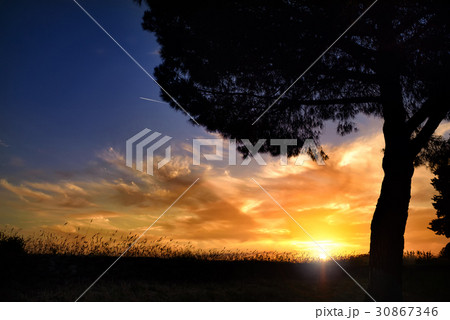 Sunset, summer evening Sunset, summer evening 30867346