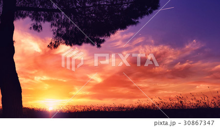 Sunset, summer evening 30867347