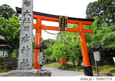 日吉大社　鳥居 30867714