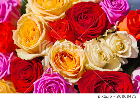 Multicolored roses background 30868475