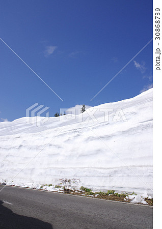 志賀草津高原ルートの雪の回廊 志賀草津高原ルートの雪の回廊 30868739