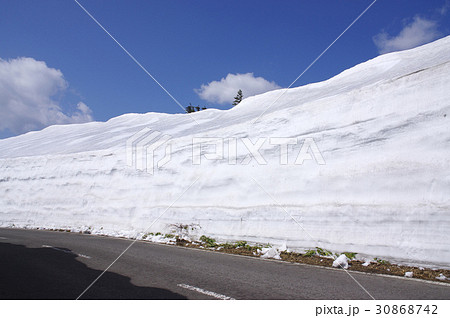 志賀草津高原ルートの雪の回廊 30868742