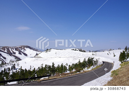 志賀草津高原ルートの雪の回廊 30868743