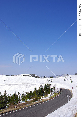 志賀草津高原ルートの雪の回廊 志賀草津高原ルートの雪の回廊 30868745