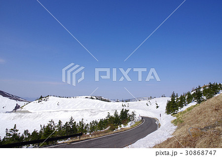 志賀草津高原ルートの雪の回廊 志賀草津高原ルートの雪の回廊 30868747