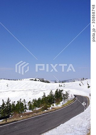 志賀草津高原ルートの雪の回廊 志賀草津高原ルートの雪の回廊 30868748