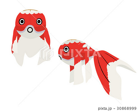 金魚提灯　イラスト素材 30868999