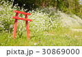 鳥居 30869000