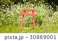 鳥居 30869001