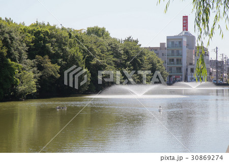 明石公園の東堀 30869274