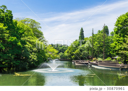 東京　井の頭公園 30870961
