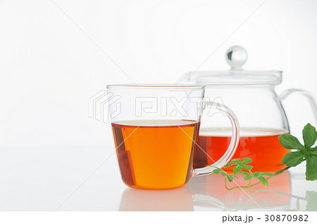 ルイボスティー 白バック ルイボスティー 白バック 30870982