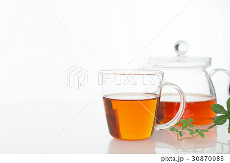 ルイボスティー 白バック ルイボスティー 白バック 30870983