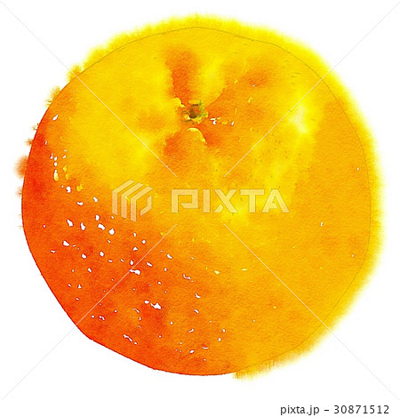透明水彩 水彩画 ウォーターカラー 30871512