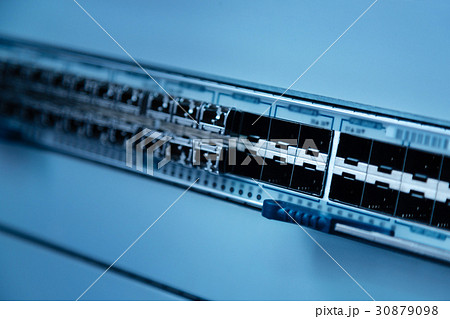 Close up of switch panel for LAN cables Close up of switch panel for LAN cables 30879098