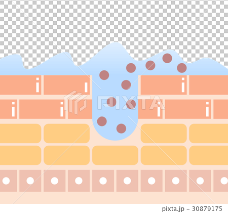 面部洗臉 30879175