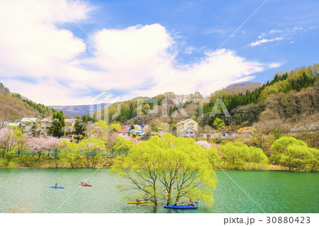 藤原湖の水没林とカヌー 藤原湖の水没林とカヌー 30880423