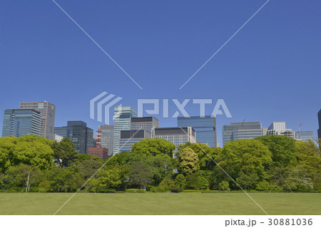 森と大手町 森と大手町 30881036