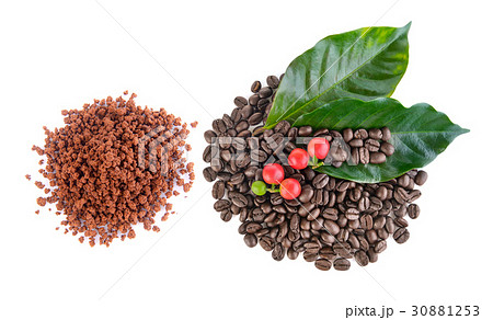 coffee grains and instant coffee coffee grains and instant coffee 30881253