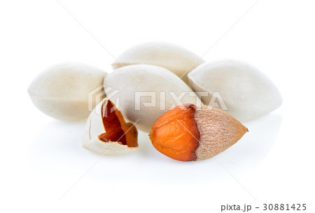 Ginkgo seeds on white background Ginkgo seeds on white background 30881425