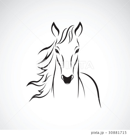 Vector of a horse on white background. 30881715