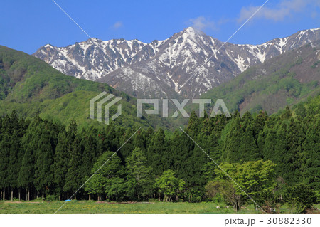 白馬の5月 白馬の5月 30882330