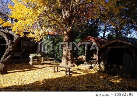 松蔭寺 30882599