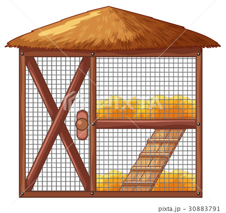 Chicken coop with no chicken 30883791
