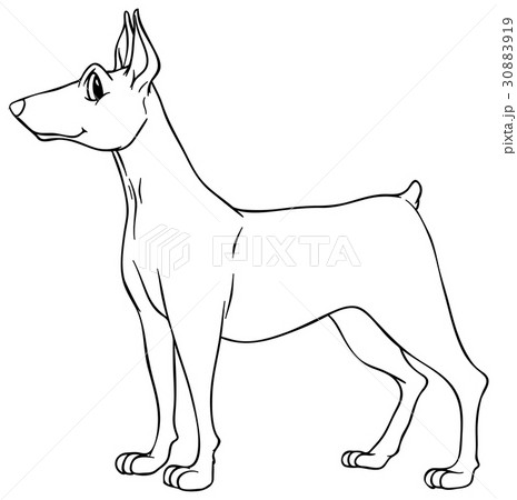 Animal outline for dog 30883919